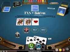 Texas Holdem Online Pokermaskiner